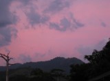 Thumbs/tn_STA_0503.jpg
