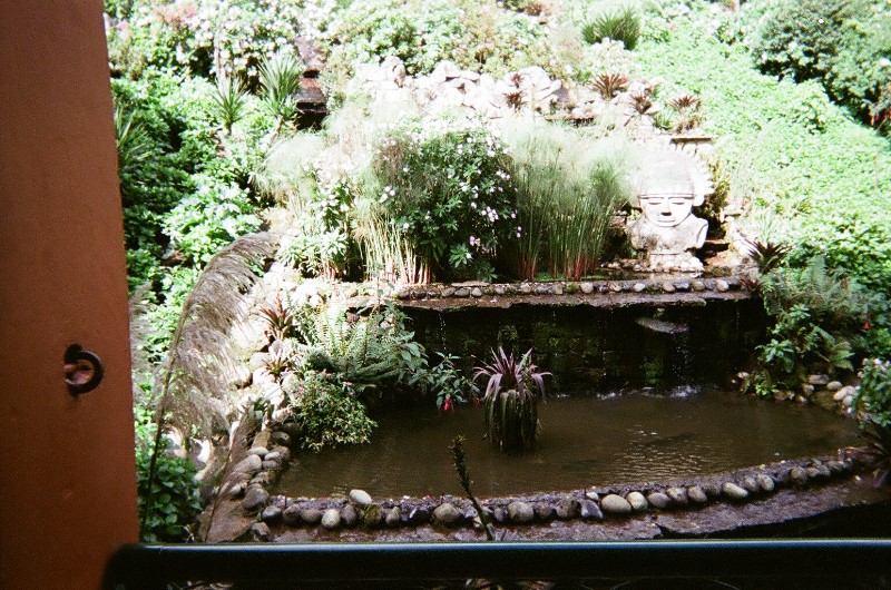 ../Images/98380074.jpg