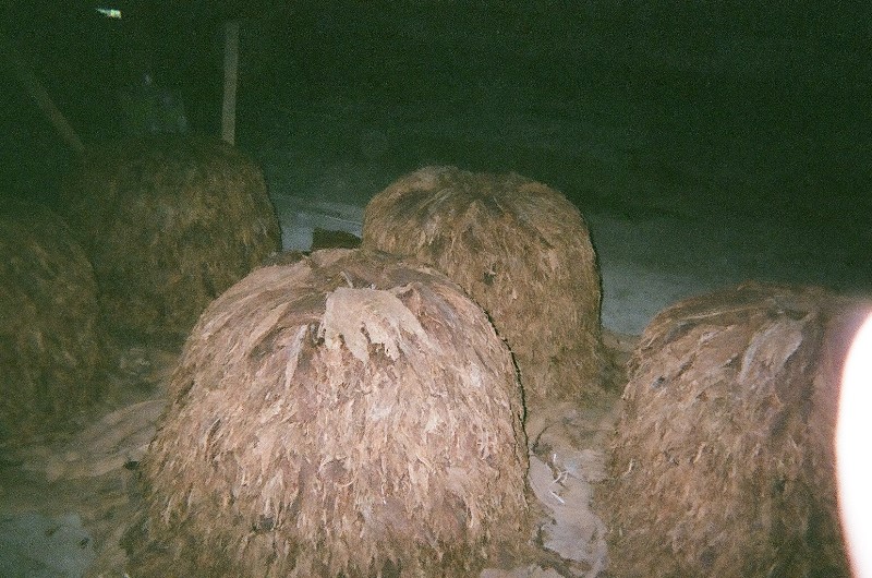../Images/98380082.jpg