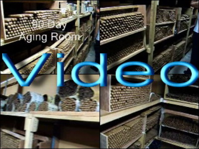 ../Images/AgingProcess.jpg