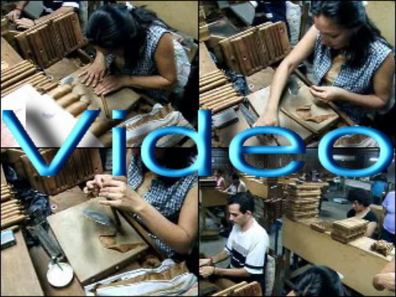 ../Images/HandRolledCigars.jpg