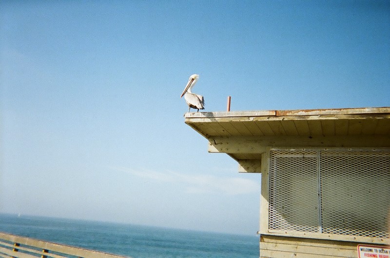 ../Images/98380120.jpg