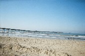 Thumbs/tn_98380113.jpg