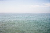 Thumbs/tn_98380118.jpg