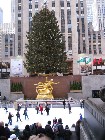 Thumbs/tn_IMG_0372.jpg