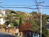 Thumbs/tn_Picture_0013.jpg