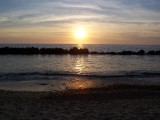 Thumbs/tn_Picture_0029.jpg