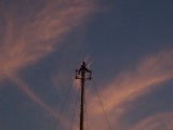Thumbs/tn_Picture_0041.jpg