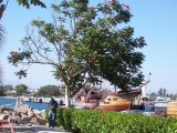 Thumbs/tn_Picture_0059.jpg