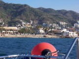 Thumbs/tn_Picture_0078.jpg