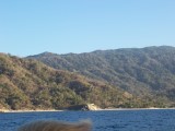 Thumbs/tn_Picture_0084.jpg