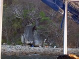 Thumbs/tn_Picture_0088.jpg