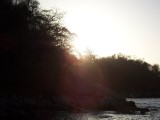 Thumbs/tn_Picture_0090.jpg