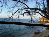 Thumbs/tn_Picture_0094.jpg