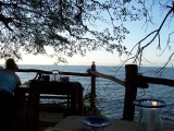 Thumbs/tn_Picture_0095.jpg