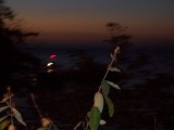 Thumbs/tn_Picture_0097.jpg