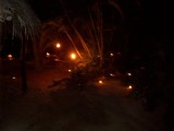 Thumbs/tn_Picture_0107.jpg