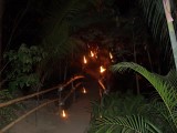 Thumbs/tn_Picture_0109.jpg
