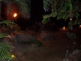 Thumbs/tn_Picture_0113.jpg