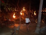 Thumbs/tn_Picture_0119.jpg
