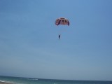 Thumbs/tn_Picture_0170.jpg