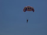 Thumbs/tn_Picture_0171.jpg