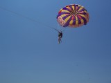 Thumbs/tn_Picture_0177.jpg