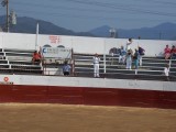 Thumbs/tn_Picture_0179.jpg