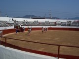 Thumbs/tn_Picture_0180.jpg
