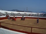 Thumbs/tn_Picture_0181.jpg
