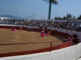 Thumbs/tn_Picture_0182.jpg