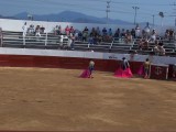 Thumbs/tn_Picture_0183.jpg
