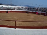 Thumbs/tn_Picture_0184.jpg