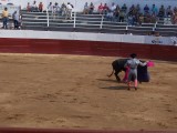 Thumbs/tn_Picture_0188.jpg