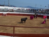 Thumbs/tn_Picture_0190.jpg