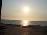 Thumbs/tn_Picture_0201.jpg