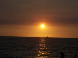 Thumbs/tn_Picture_0207.jpg