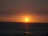 Thumbs/tn_Picture_0209.jpg