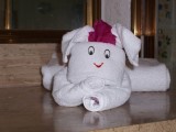 Thumbs/tn_Picture_0212.jpg