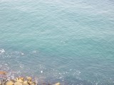 Thumbs/tn_Picture_0217.jpg