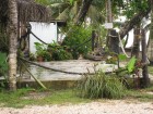 Thumbs/tn_IMG_0602.jpg