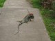 Thumbs/tn_IMG_0268.jpg