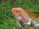 Thumbs/tn_IMG_0271.jpg